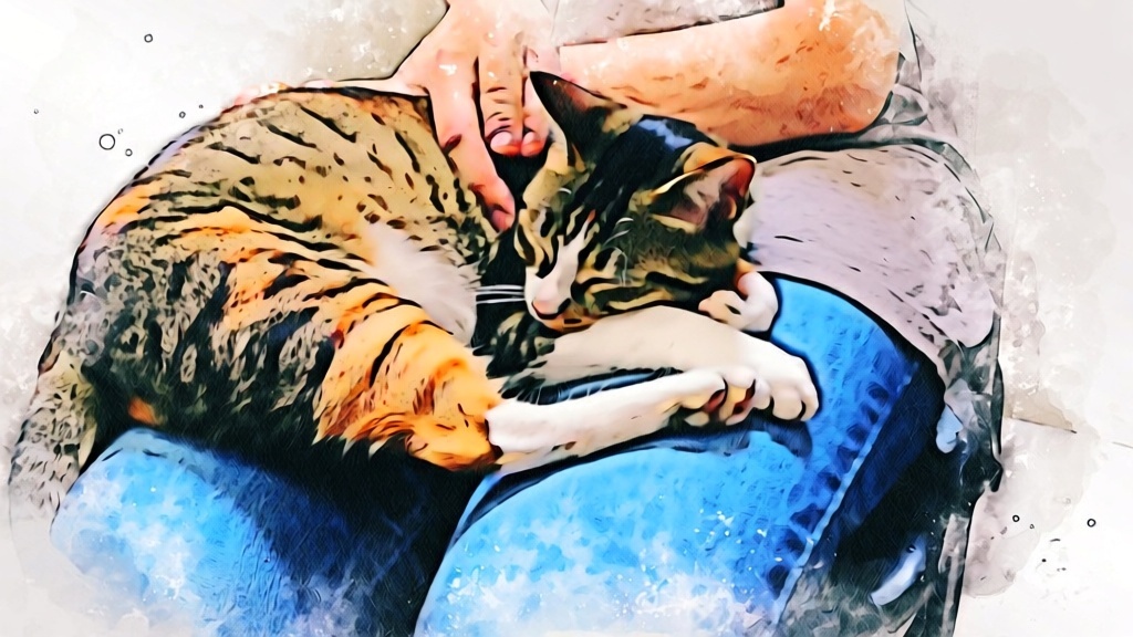 猫が飼い主に甘えている水彩画イラスト