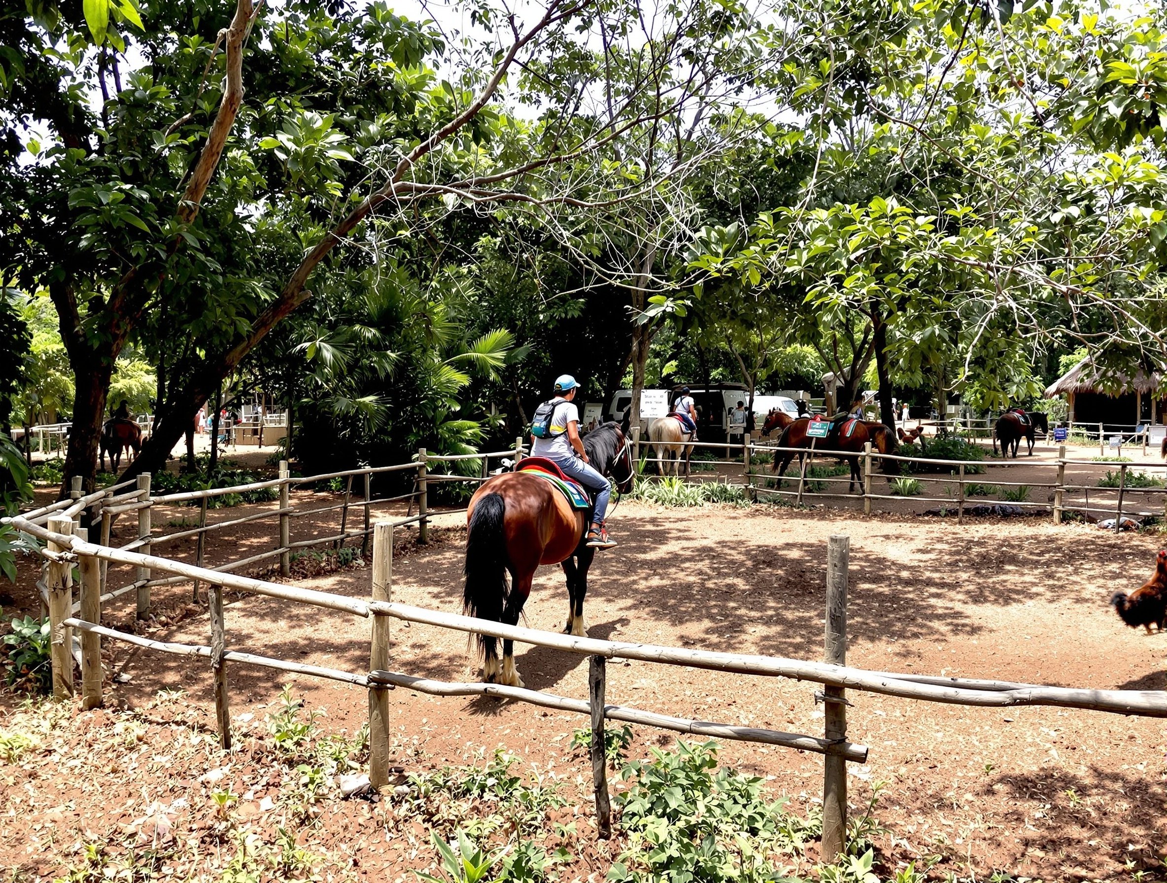 Permaculture Systems