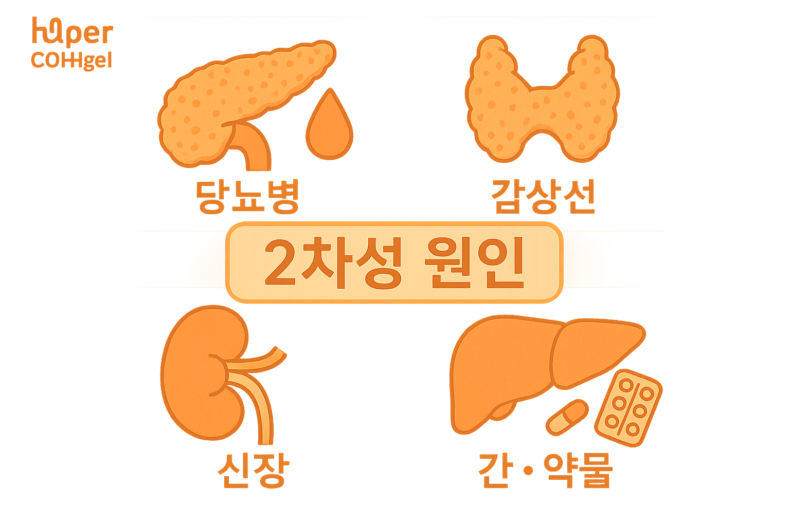 2차성 고지혈증 원인