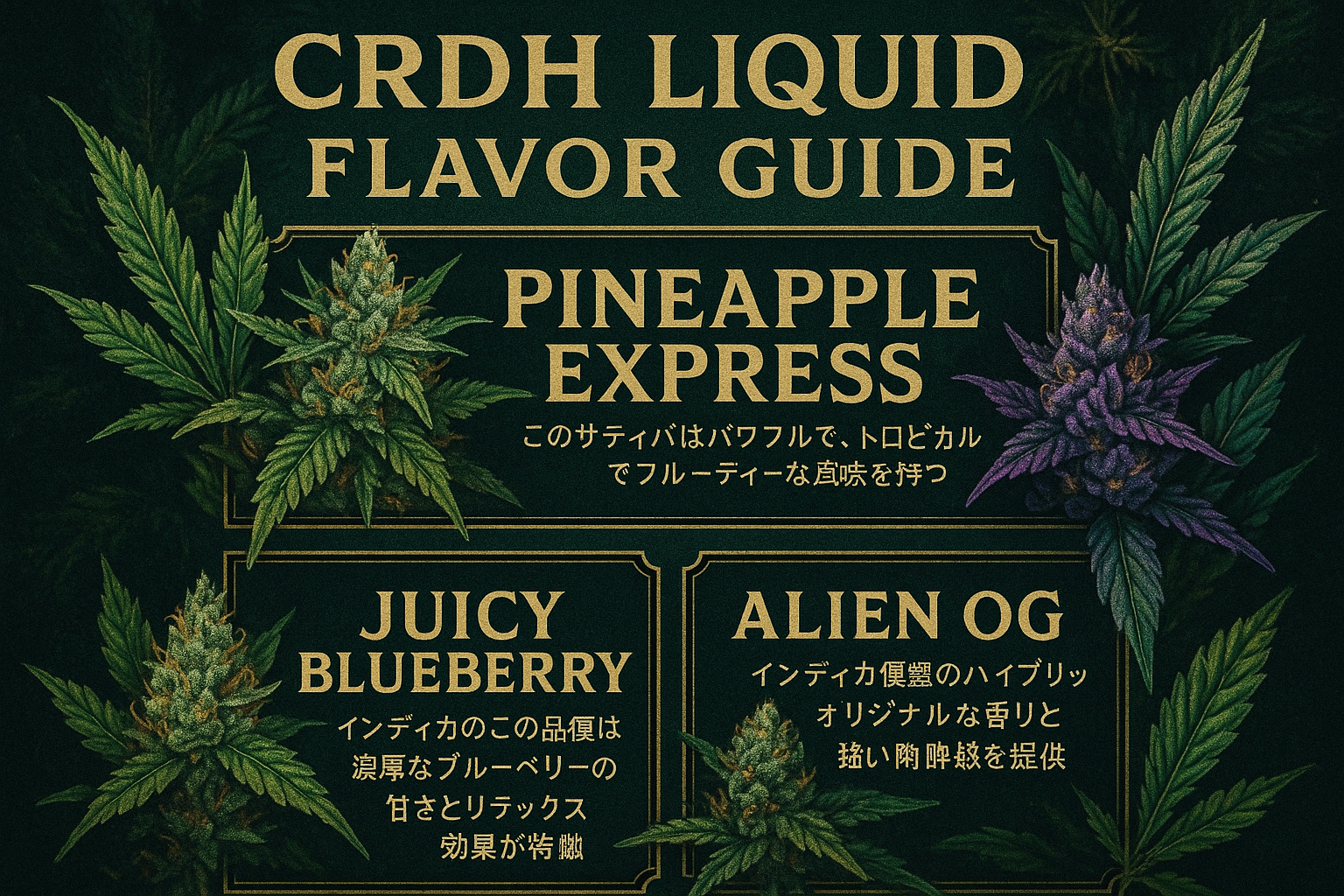 フレーバーガイド