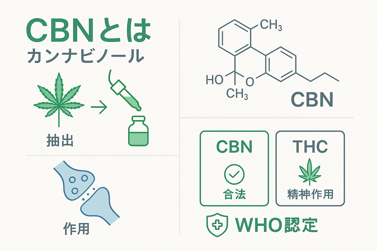 CBN詳細説明図