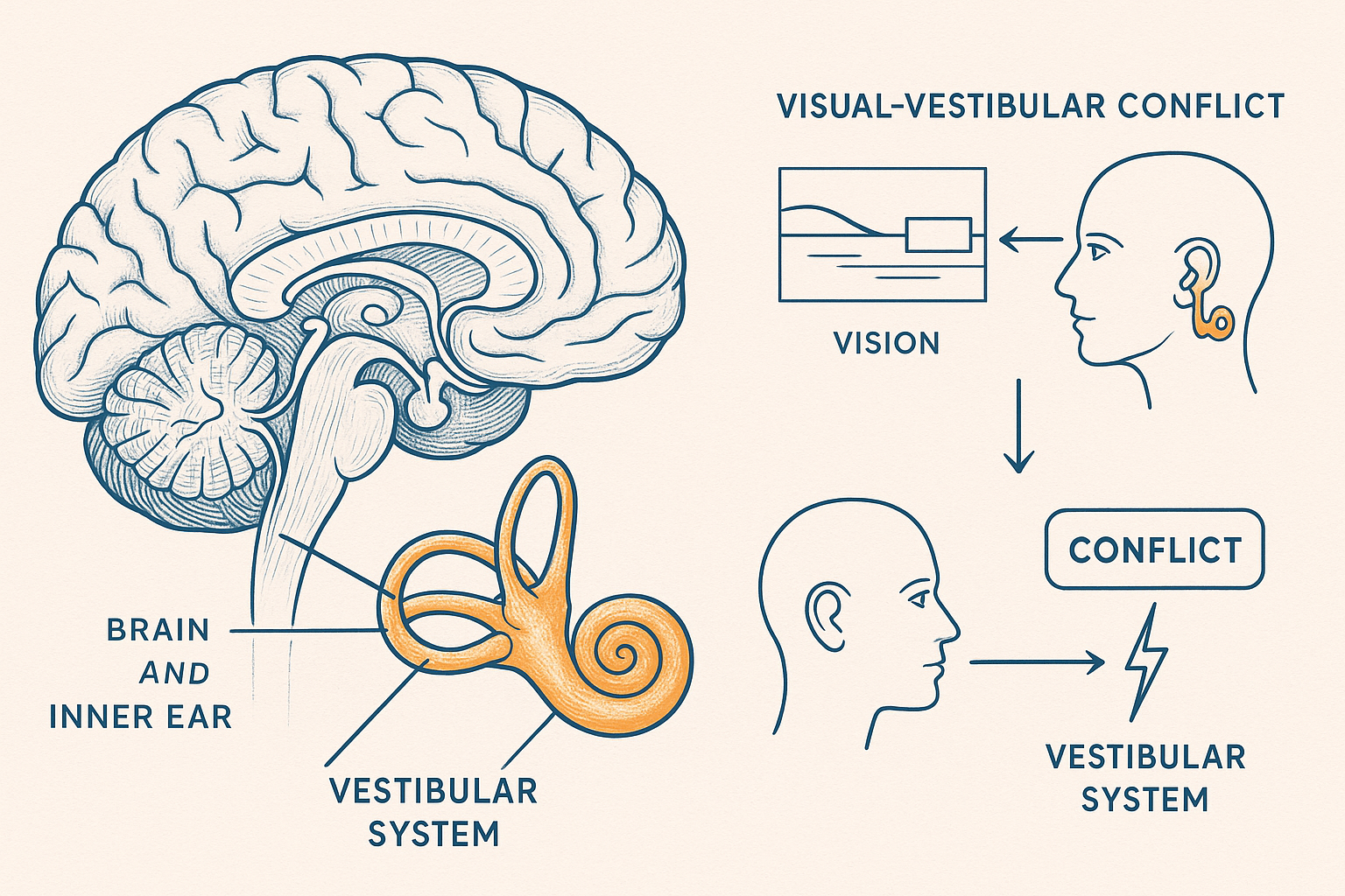 Anatomia della motion sickness VR - Sistema vestibolare e conflitto sensoriale