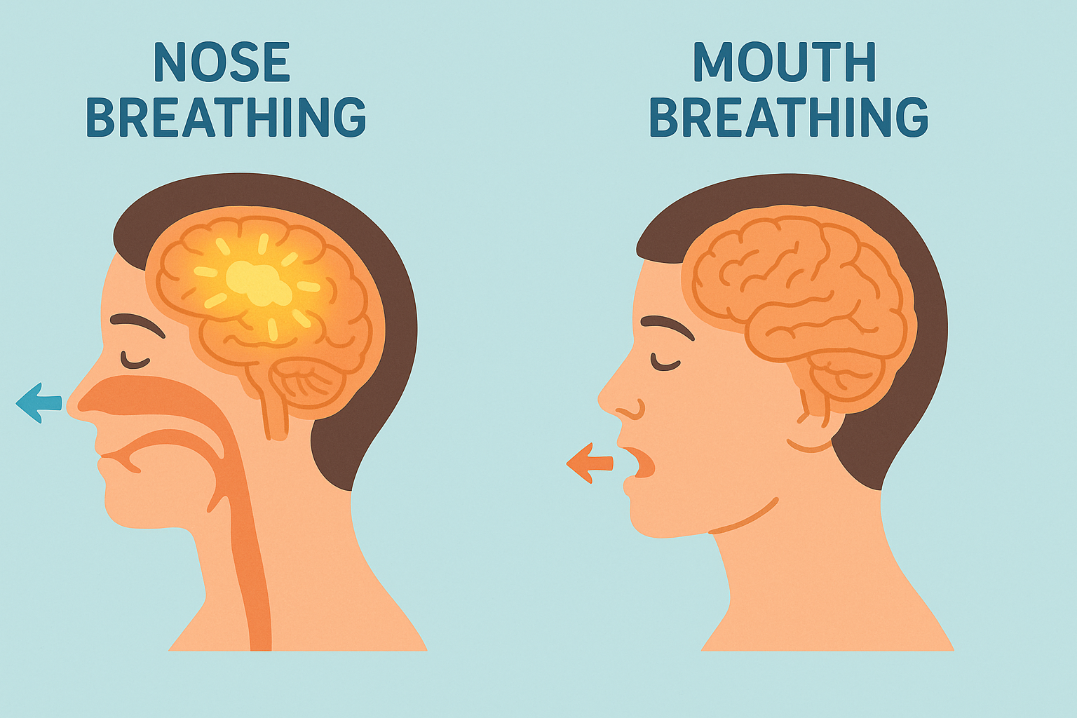 코 호흡과 입 호흡의 뇌 활성화 비교