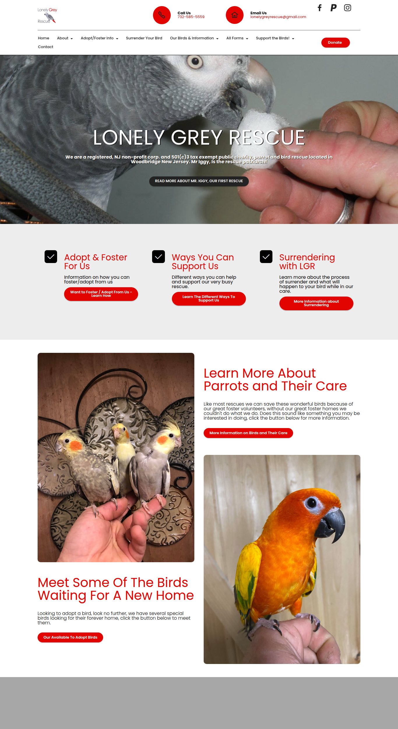 Screenshot of Lonely Grey Rescue