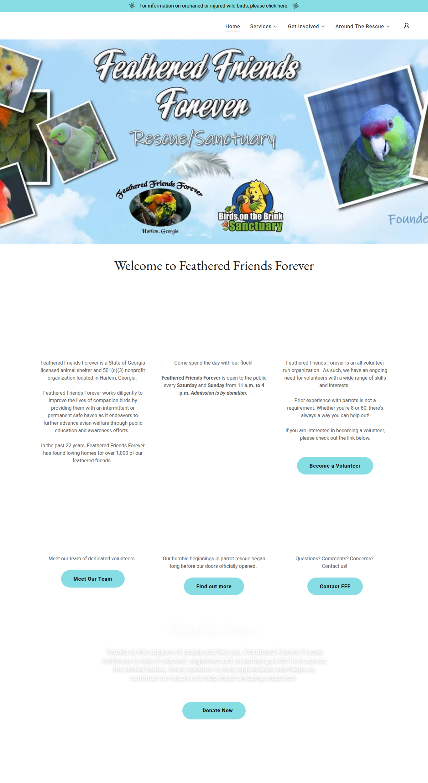 Screenshot of Feathered Friends Forever Rescue and Sanctuary