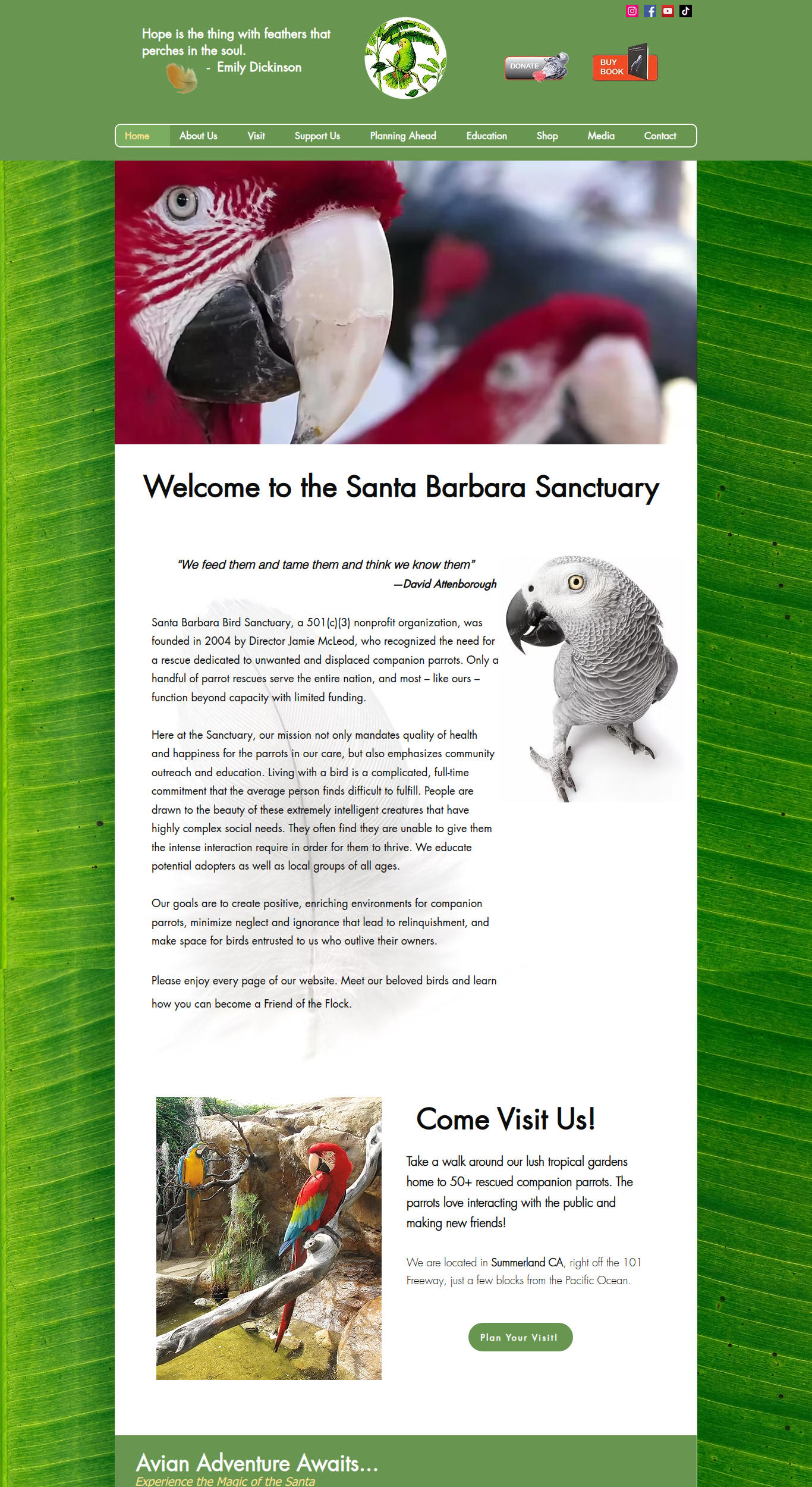 Screenshot of Santa Barbara Bird Sanctuary