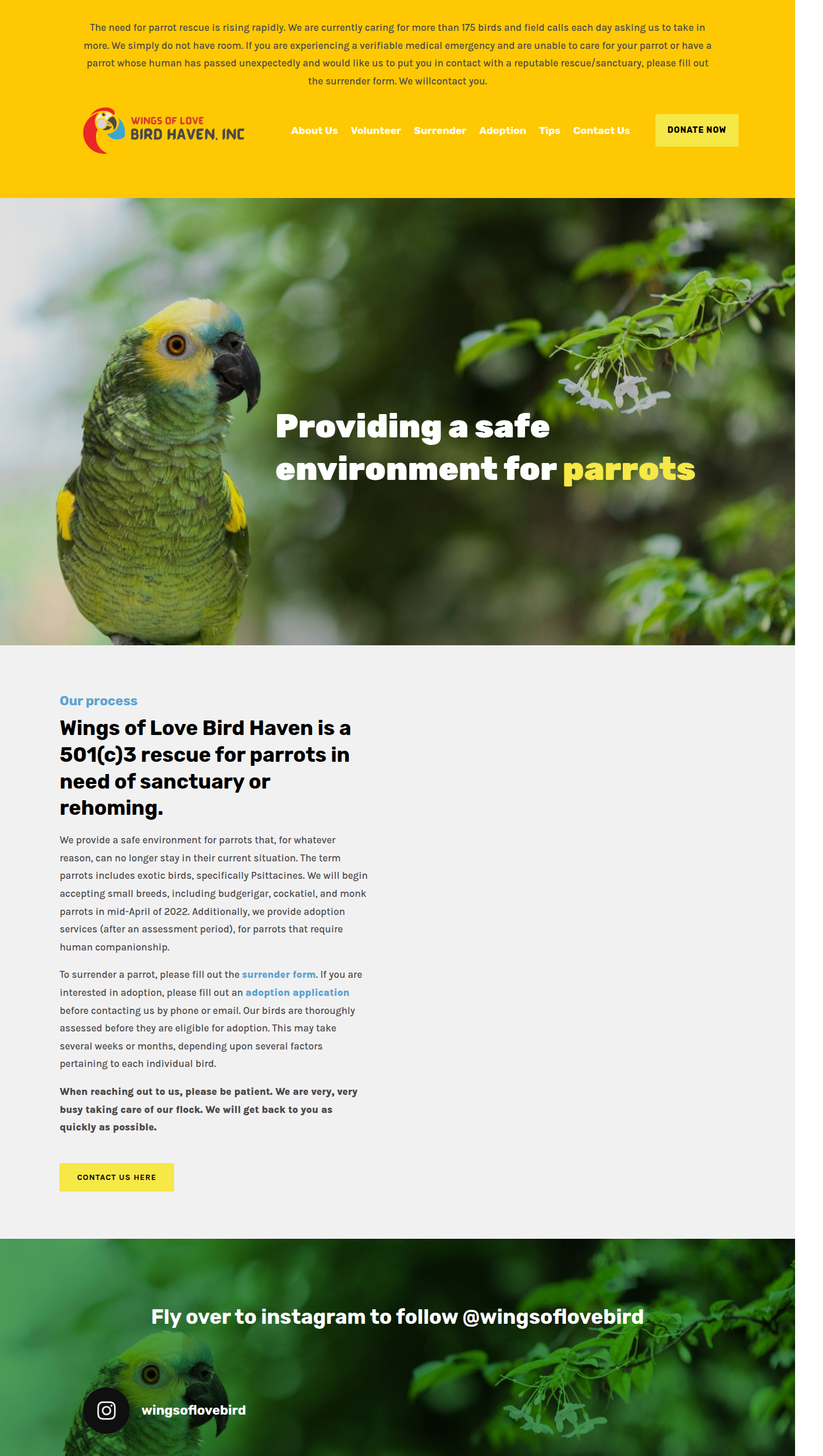 Screenshot of Wings of Love Bird Haven