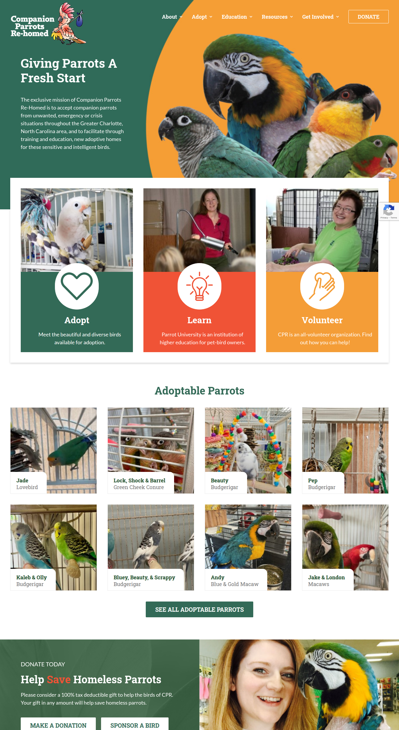 Screenshot of Companion Parrots Rehomed/Parrot University