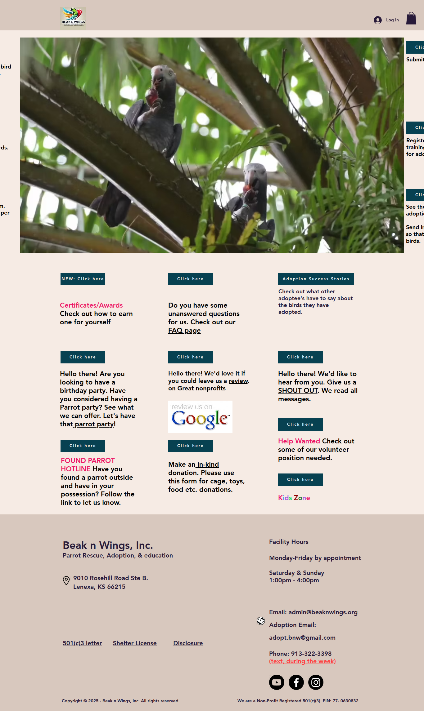 Screenshot of Beak n Wings