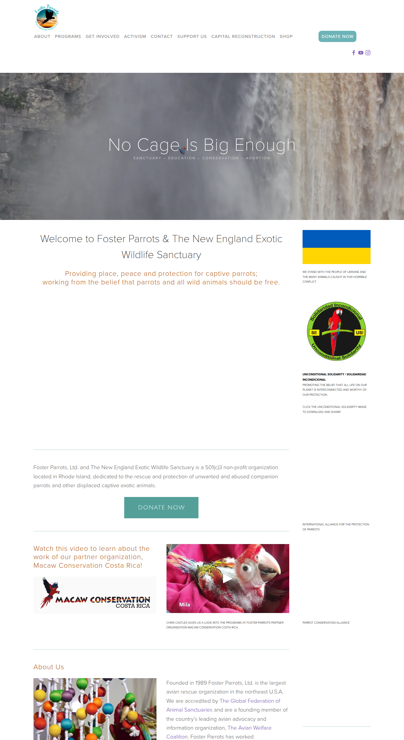 Screenshot of Foster Parrots — The New England Exotic Wildlife Sanctuary